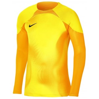 Bluza Nike Gardien IV Goalkeeper JSY DH7967 719