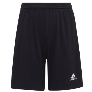 Spodenki adidas ENTRADA 22 Short Y H57502