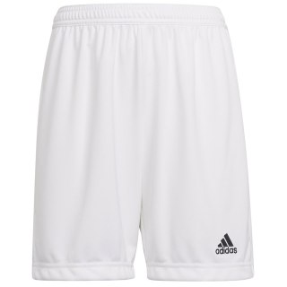 Spodenki adidas ENTRADA 22 Short Y HG6292