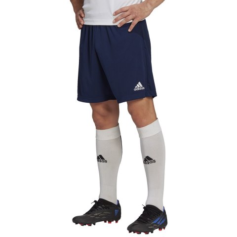 Spodenki adidas ENTRADA 22 Training Short H57488