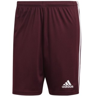 Spodenki adidas SQUADRA 21 Short GN8083