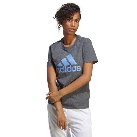 Koszulka adidas Big Logo Tee IC0634