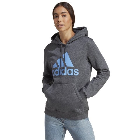 Bluza adidas Big Logo FL R HD IC9845