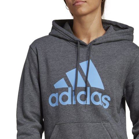 Bluza adidas Big Logo FL R HD IC9845