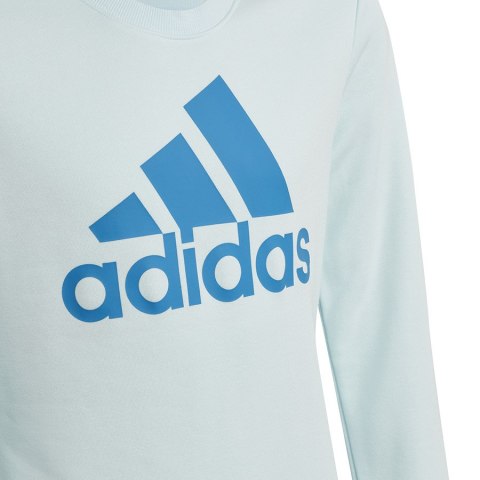 Bluza adidas Big Logo SWT HM8707