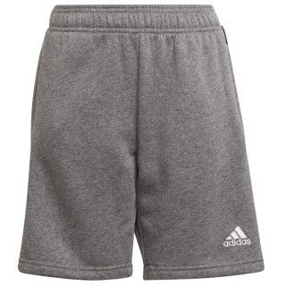 Spodenki adidas TIRO 21 Sweat Short Junior GP8806