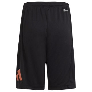 Spodenki adidas TR-ES Logo Shorts IC5658