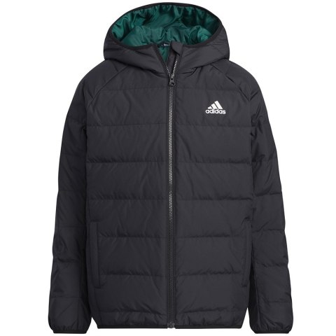 Kurtka adidas Frosty Winter Jackett H45034